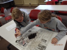 Students recovering seeds by flotation